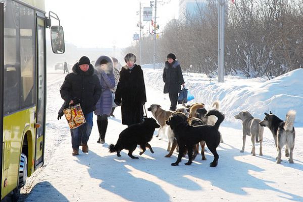 Круговорот зла