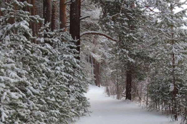 В 2026 году в природных парках Среднего Урала появятся новые туристические маршруты