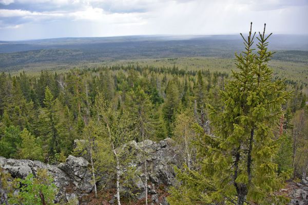 Спасатели установили место нахождения пропавших туристов в Пермском крае