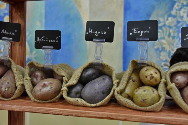 В 2023 году Минсельхоз  вдвое увеличит вложения в производство картофеля и овощей