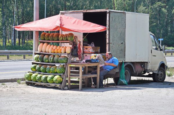 Арбуз при дороге