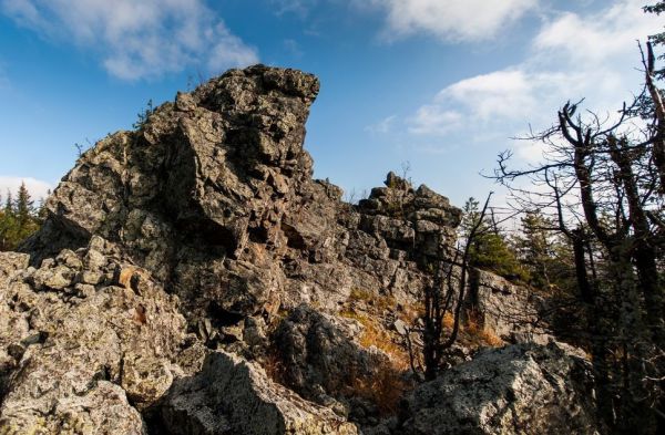 С Веселых гор до Бабьего холма