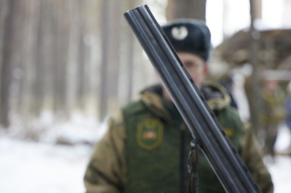 В Свердловской области лесопользователей обязали разработать легальные планы освоения угодий