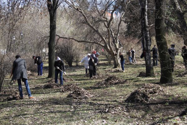 В лесопарках Урала пройдет генеральная уборка