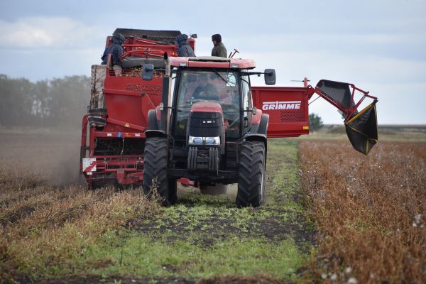 Областной бюджет взял на себя оплату практики студентов в агрохозяйствах