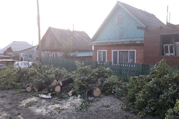 В Кушве из-за урагана остались без света жители 270 домов: власти контролируют устранение последствий