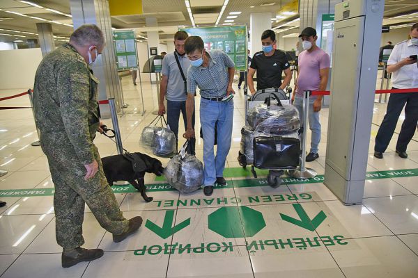 Кольцовские таможенники пресекли контрабанду мединструментов из Китая