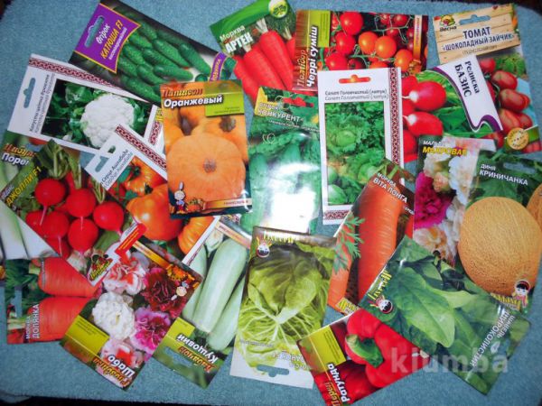 Семена моркови в одном из уральских магазинов не прошли проверку на всхожесть