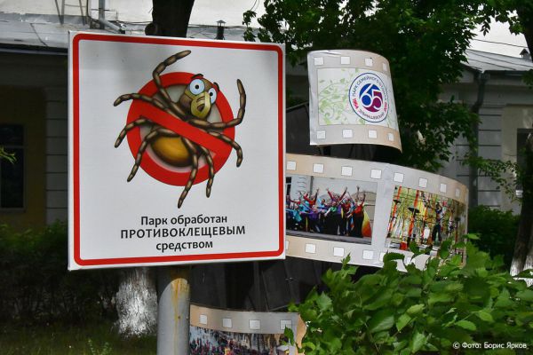 В Свердловской области клещи за неделю покусали более 40 детей