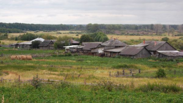 Деревня не умирает — она издыхает