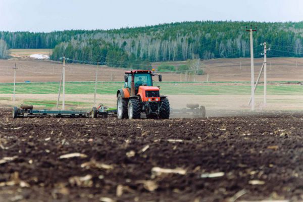 На старте посевной: свердловские власти направили на поддержку аграриев почти 600 млн рублей