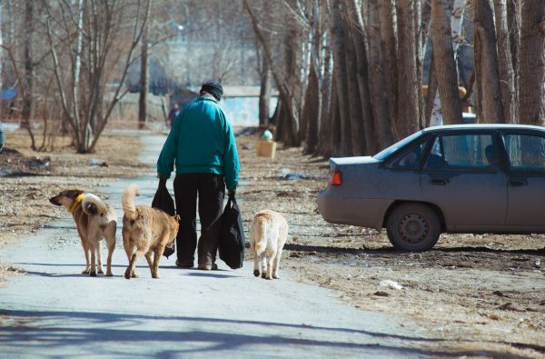 Не только решетки на окнах