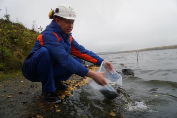 В Исетское водохранилище запустили белого амура