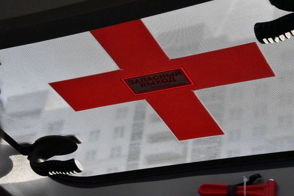 В Свердловской области девочка погибла, играя с кошкой