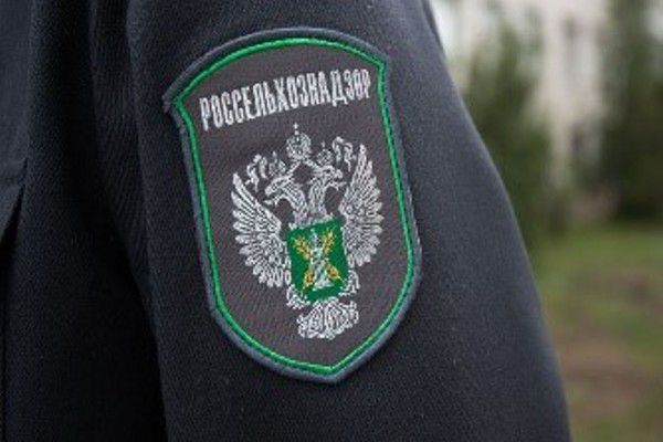 Под Тугулымом обнаружен незаконный карьер для добычи стройматериалов