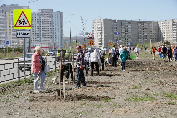 В Нижнем Тагиле посадили аллею в честь 80-летия Великой Победы