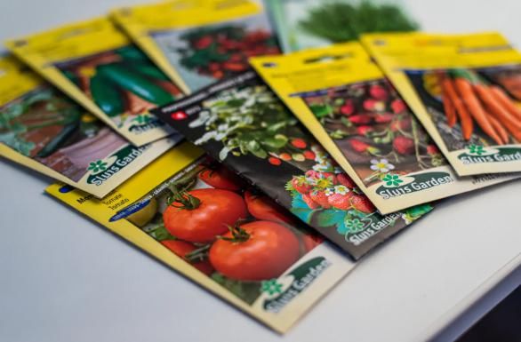 Семена без допуска. Первоуральская компания попала под надзор за продажу «запрещенных» сортов