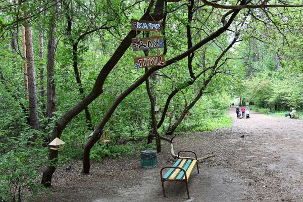 В Шарташском лесопарке поставят фудтраки