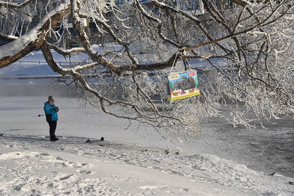 Сильных морозов не будет: публикуем прогноз погоды в Екатеринбурге на неделю