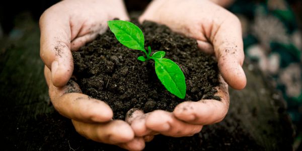 Плодородие под угрозой. В Невьянском округе выявили нарушения на фермерском участке