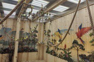 В уральской столице содержат попугаев для культурно-зрелищных мероприятий