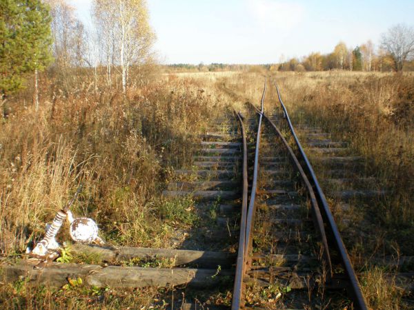 В среднем по клинике