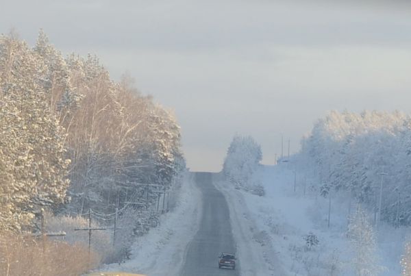 Автобус с хоккейной командой улетел в кювет