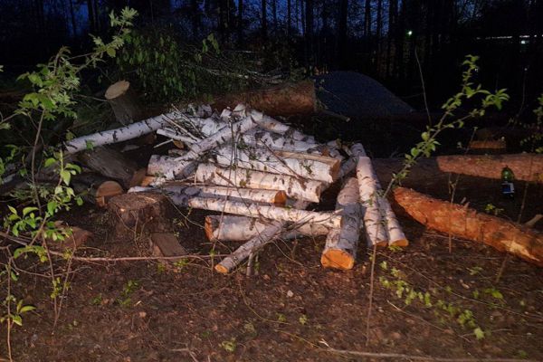 В Екатеринбурге неизвестные ночью начали вырубку рощи на Уралмаше