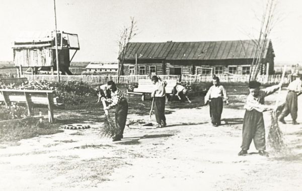 Поделились благородством