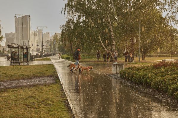 В Екатеринбурге за ночь выпала четверть месячной нормы осадков