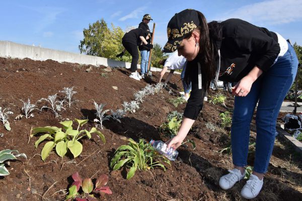 В Преображенском парке Екатеринбурга завершают благоустройство