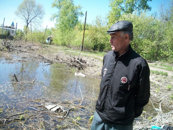 Утопили мечту в болоте