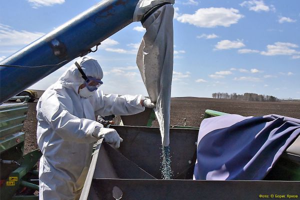 Эксперты советуют не покупать семена на трассах, а только в надежных магазинах