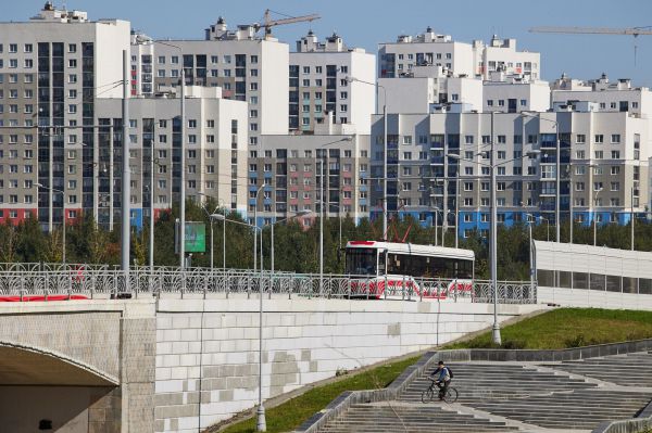 В зону карантина по бешенству в Академическом попали 27 домов