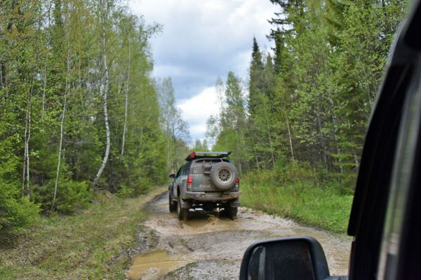 В Свердловской области нашли пропавшего в тайге пожилого рыбака