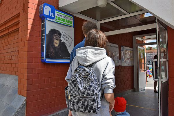 В екатеринбургском зоопарке капитально отремонтируют вольеры для обезьян и медведей