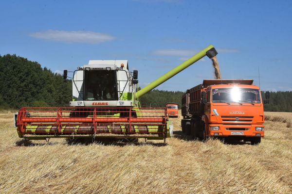 На Урале началась уборка  зерновых, картофеля и овощей