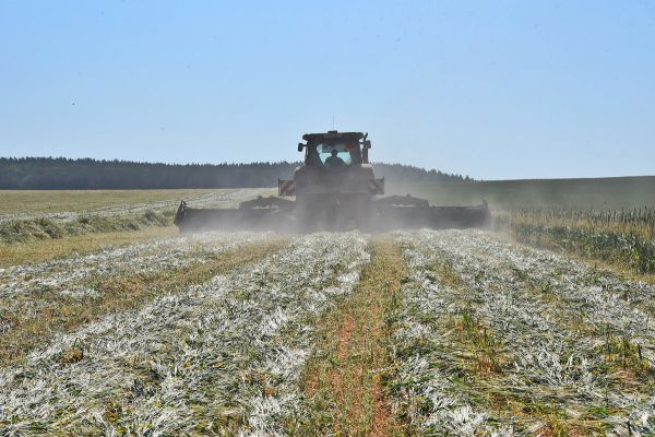 На Среднем Урале урожай зерновых в 1,5 раза превысил показатель 2021 года