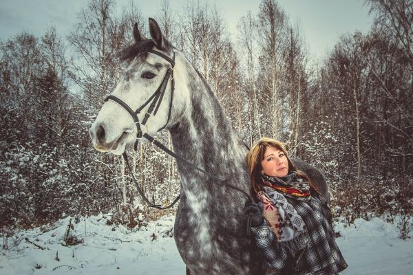 Аллюром к победам