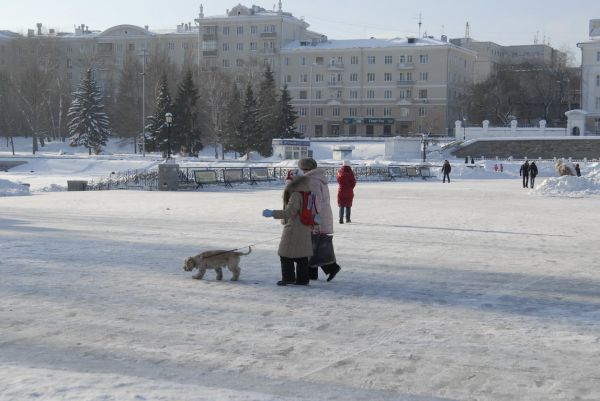 Последняя неделя года будет умеренно морозной