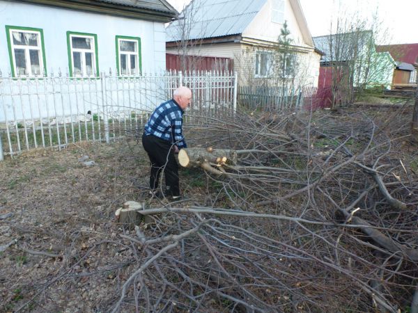 Липовый взаимозачет