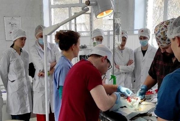 Ветеринары УрГАУ бесплатно стерилизовали почти 300 кошек и собак