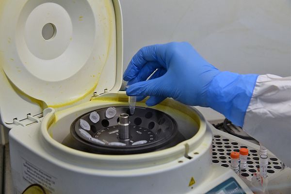 В России начались доклинические испытания вакцины от всех видов рака