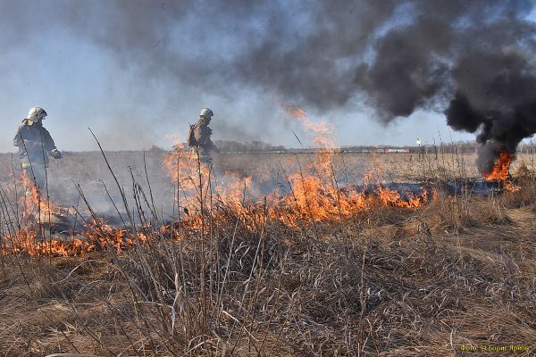 В этом году число пожаров выросло в два раза, а площадь возгораний – в пять