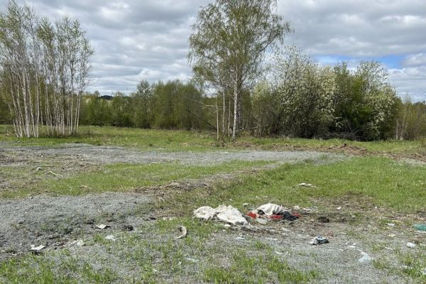 В Первоуральске берег Чусовой заразили ядовитыми химикатами