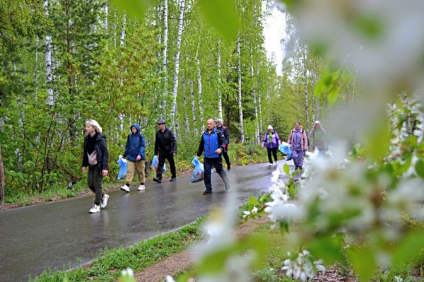 Участники «Каменской прогулки» собрали мусор вдоль Урало-Сибирской тропы