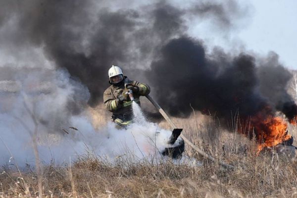 В лесу под Пелымом четвертый день тушат крупный пожар