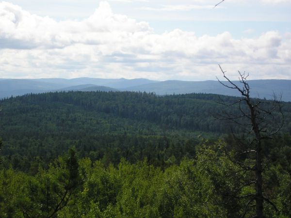 Споткнулись об Юрьев Камень